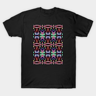 Colorful Fractal on Black T-Shirt